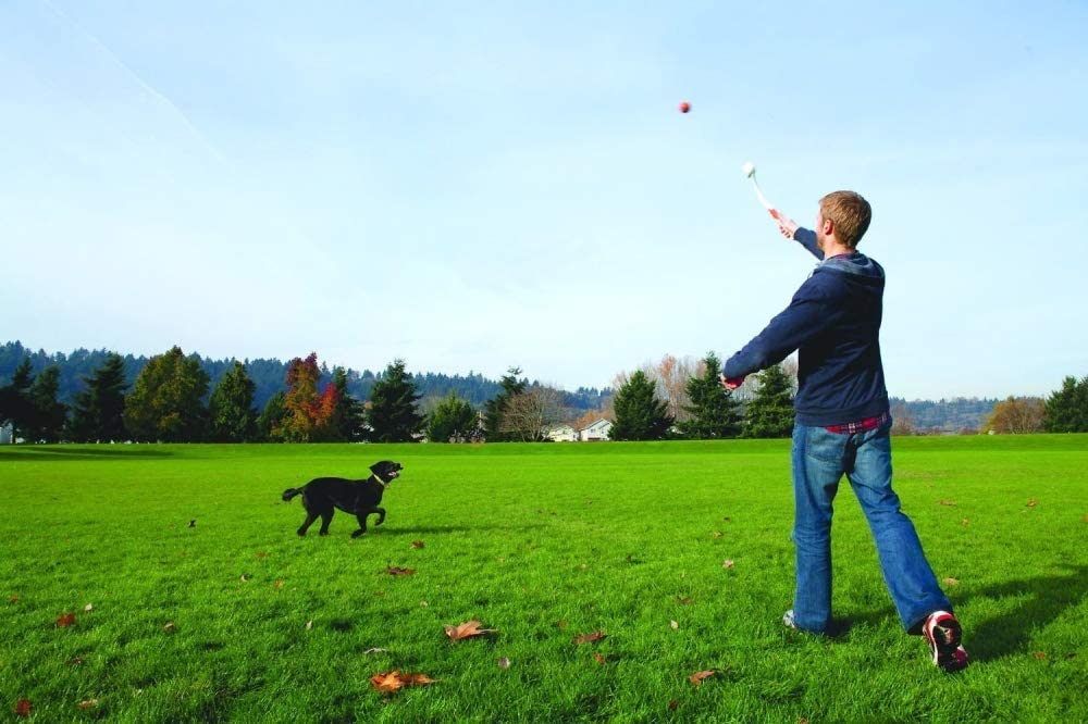 Lanza Pelotas para Perros chuckit Lanza Pelotas para Perros chuckit